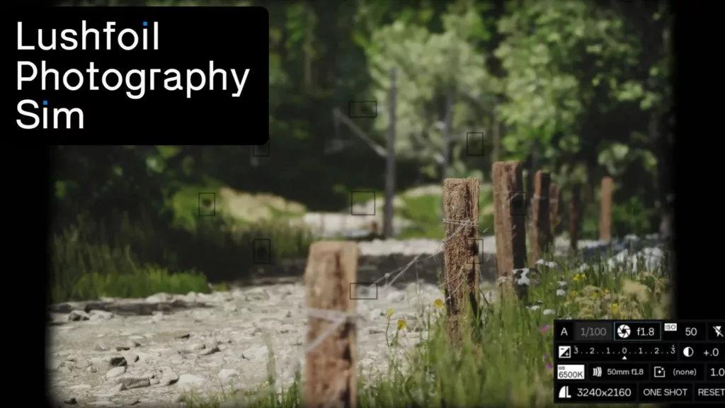 Graph 5: Lushfoil Photography Sim Cover Image - Stream Hatchet