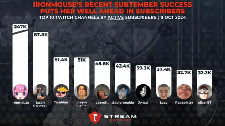 Graphic 4: Subscribers Example - Stream Hatchet